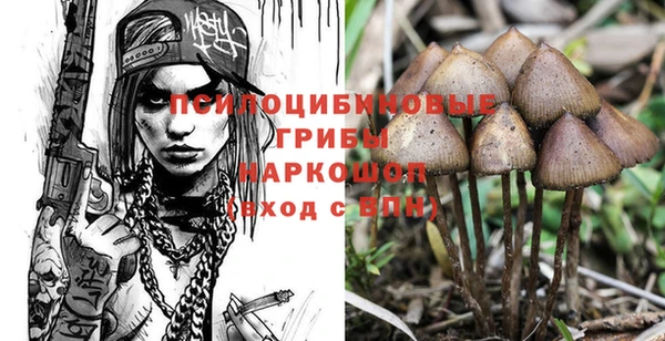 гидропоника Пестово