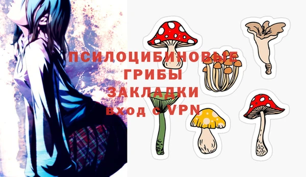 эйфоретик Переславль-Залесский