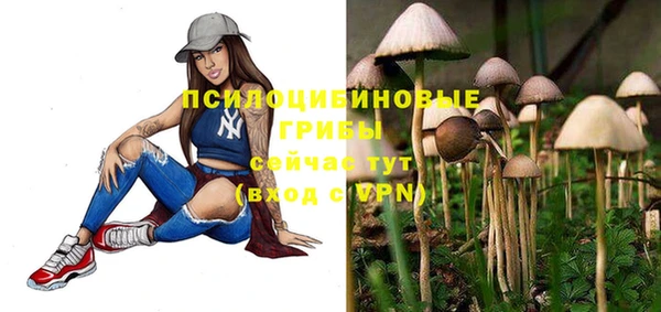 эйфоретик Переславль-Залесский