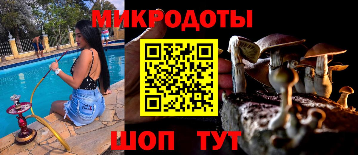 Усть-Лабинск  Псилоцибиновые грибы Cubensis  Вход с VPN 