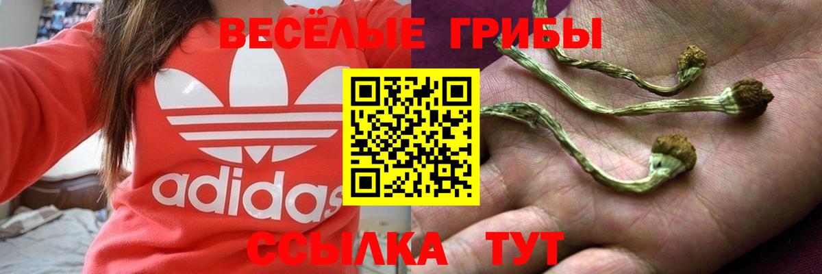 Псилоцибиновые грибы Psilocybine cubensis  Галлюциногенные грибы GOLDEN TEACHER  Усть-Лабинск 