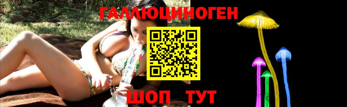 Псилоцибиновые грибы Psilocybe Усть-Лабинск